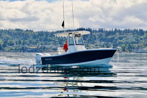 Regulator 125 karta techniczna i opinia